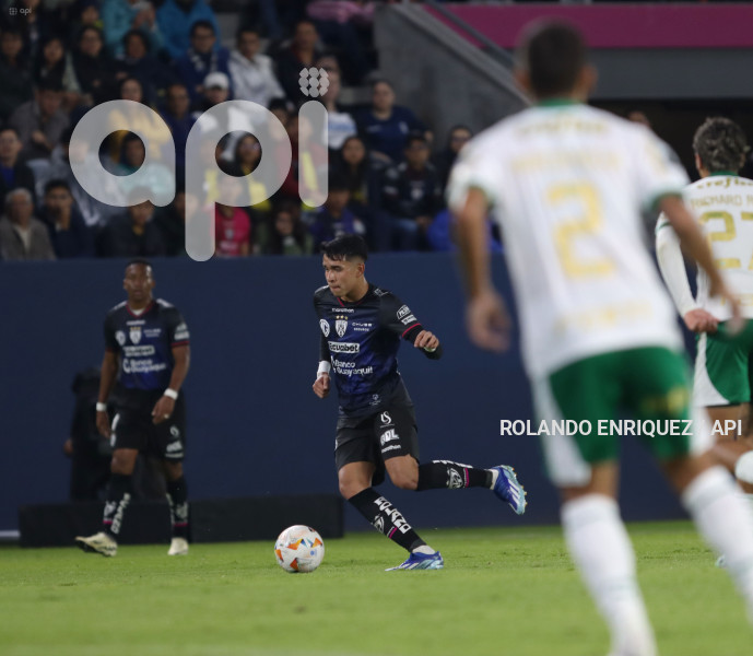 FBL-LIBERTADORES-INDEPENDIENTE-VALLE-PALMEIRAS