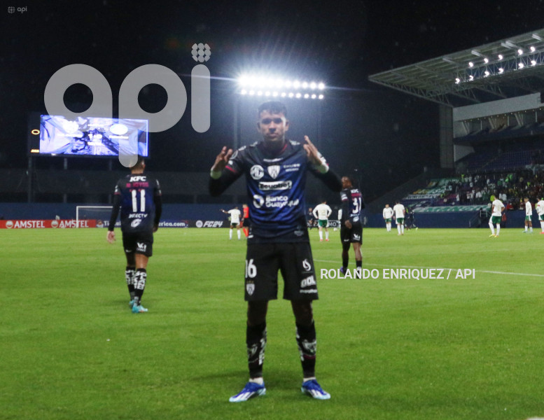 FBL-LIBERTADORES-INDEPENDIENTE-VALLE-PALMEIRAS