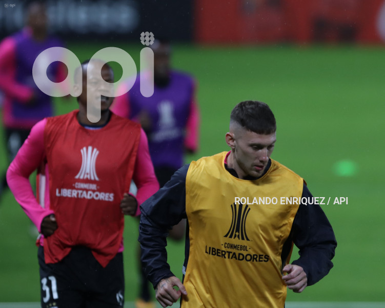 FBL-LIBERTADORES-INDEPENDIENTE-VALLE-PALMEIRAS