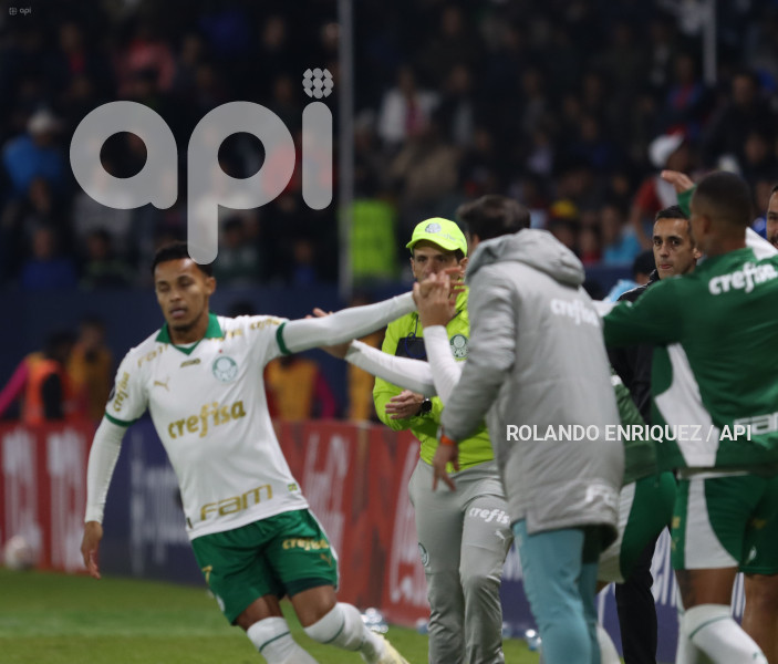 FBL-LIBERTADORES-INDEPENDIENTE-VALLE-PALMEIRAS