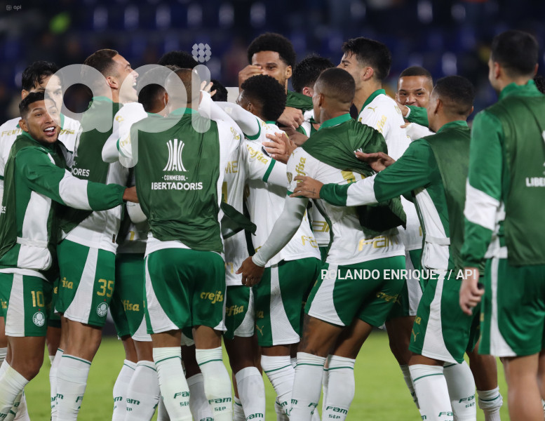 FBL-LIBERTADORES-INDEPENDIENTE-VALLE-PALMEIRAS