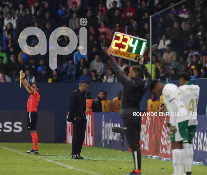 FBL-LIBERTADORES-INDEPENDIENTE-VALLE-PALMEIRAS