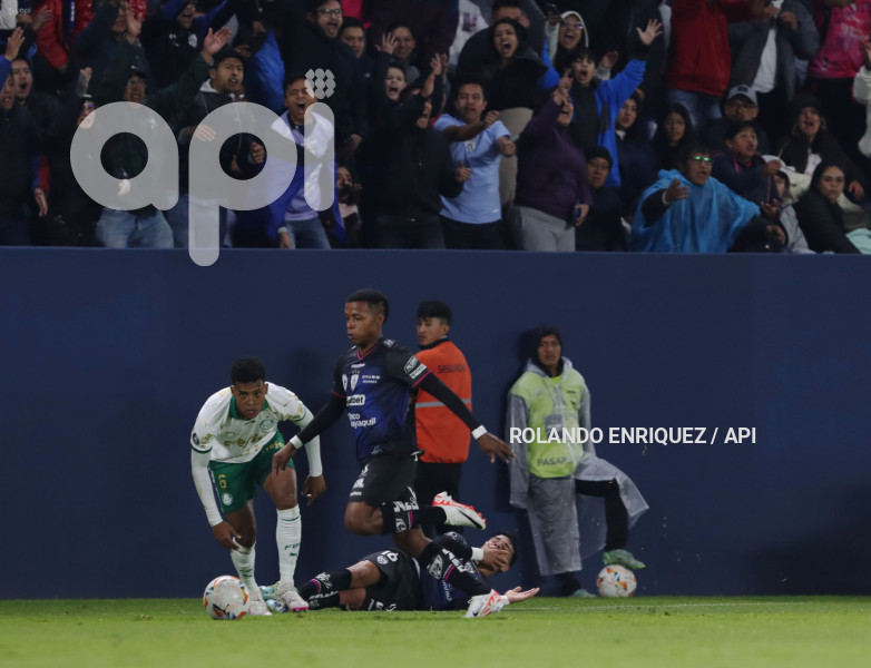 FBL-LIBERTADORES-INDEPENDIENTE-VALLE-PALMEIRAS