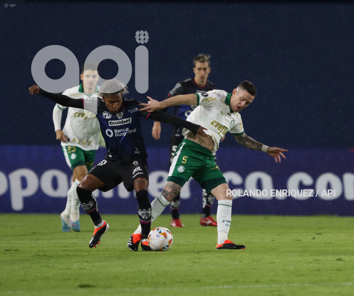 FBL-LIBERTADORES-INDEPENDIENTE-VALLE-PALMEIRAS