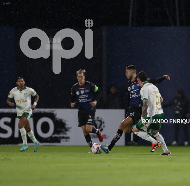 FBL-LIBERTADORES-INDEPENDIENTE-VALLE-PALMEIRAS