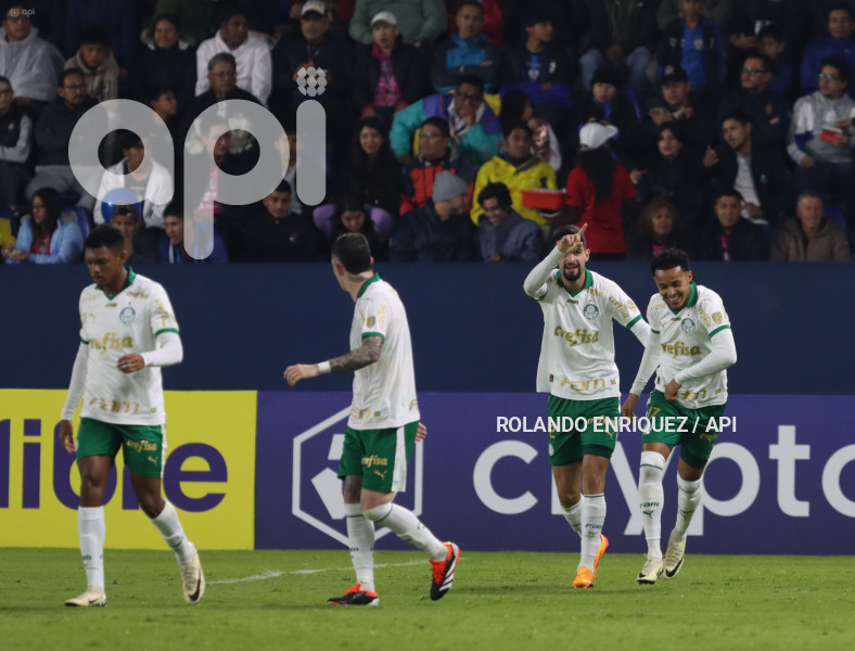 FBL-LIBERTADORES-INDEPENDIENTE-VALLE-PALMEIRAS