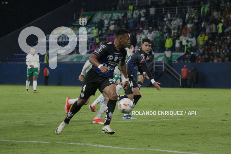 FBL-LIBERTADORES-INDEPENDIENTE-VALLE-PALMEIRAS