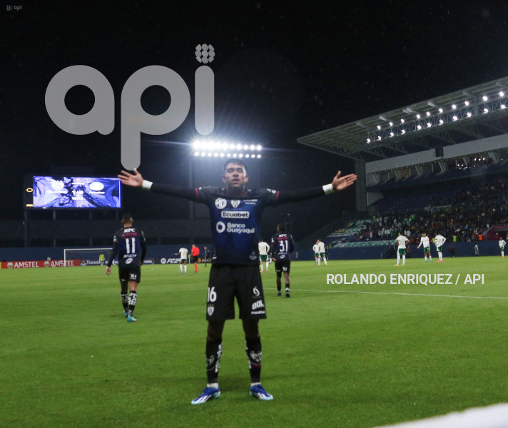 FBL-LIBERTADORES-INDEPENDIENTE-VALLE-PALMEIRAS