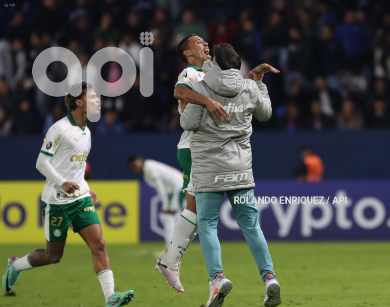 FBL-LIBERTADORES-INDEPENDIENTE-VALLE-PALMEIRAS