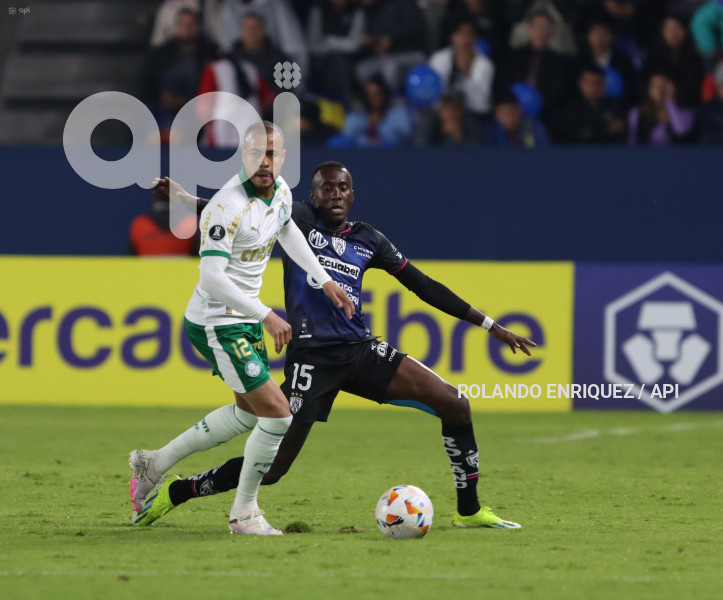 FBL-LIBERTADORES-INDEPENDIENTE-VALLE-PALMEIRAS
