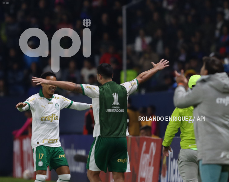 FBL-LIBERTADORES-INDEPENDIENTE-VALLE-PALMEIRAS