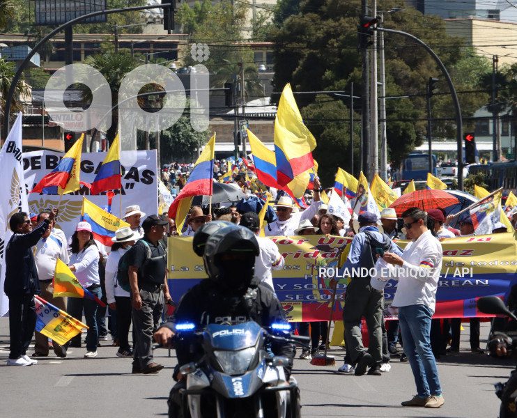 MARCHAS-APOYO-FISCAL-DIANA-SALAZAR