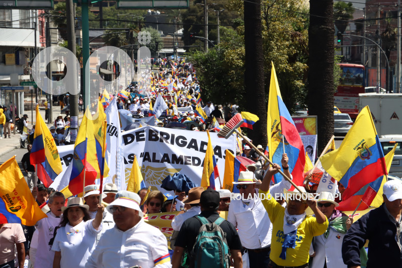 MARCHAS-APOYO-FISCAL-DIANA-SALAZAR