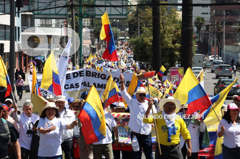 MARCHAS-APOYO-FISCAL-DIANA-SALAZAR