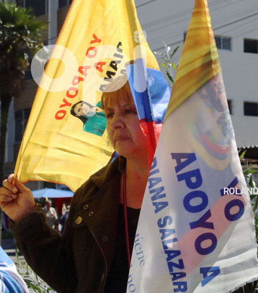 MARCHAS-APOYO-FISCAL-DIANA-SALAZAR
