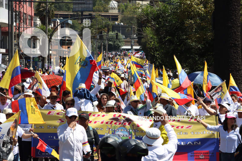 MARCHAS-APOYO-FISCAL-DIANA-SALAZAR