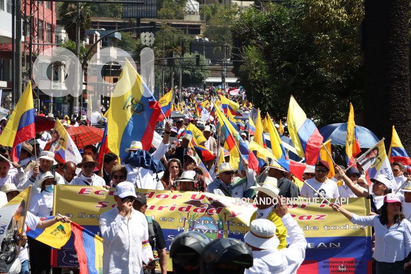MARCHAS-APOYO-FISCAL-DIANA-SALAZAR