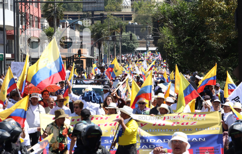 MARCHAS-APOYO-FISCAL-DIANA-SALAZAR