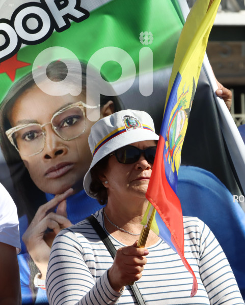 MARCHAS-APOYO-FISCAL-DIANA-SALAZAR