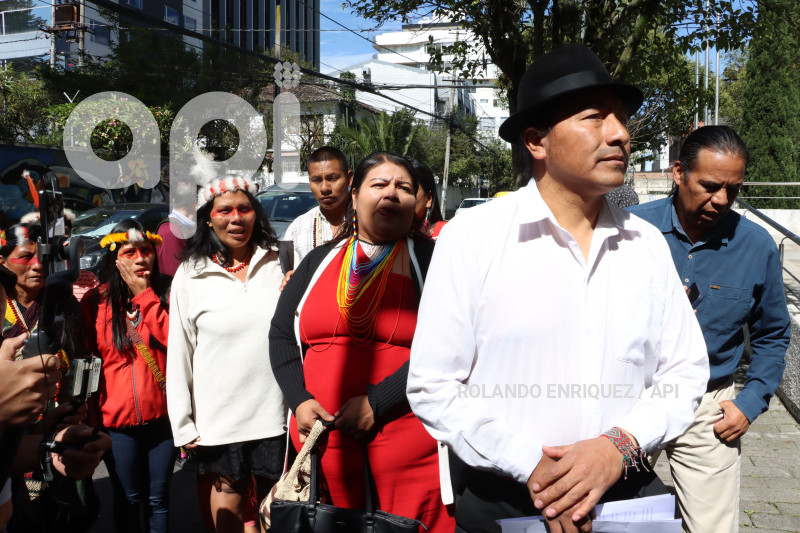 CONAIE-CORTE-CONSTITUCIONAL-OLON