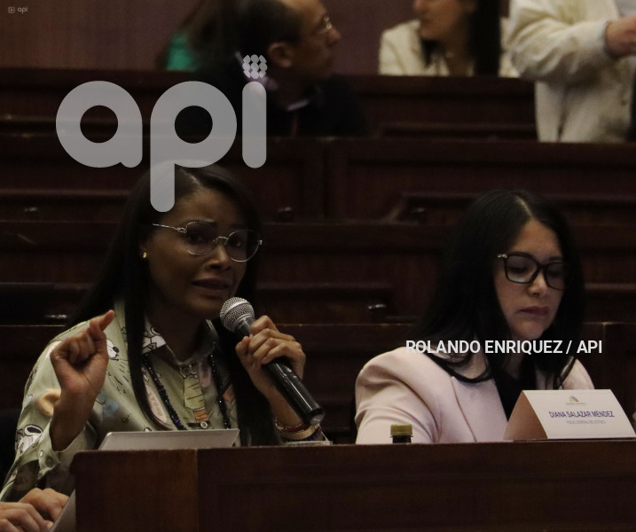 FISCAL-DIANA-SALAZAR-COMISION-FISCALIZACION