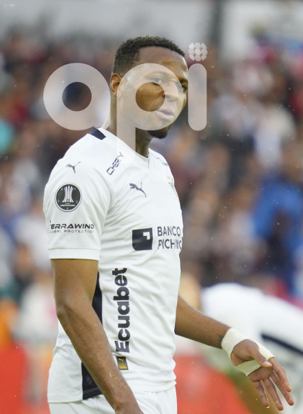 FBL LIBERTADORES LIGA JUNIOR