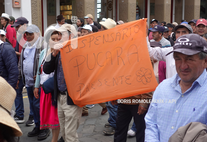 CUENCA-MARCHA-SEGURO-CAPESINO-MEDICINAS
