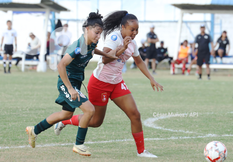 FBL-SUPERLIGA-TOREROS-D. IBARRA