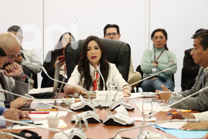 FISCALIZACION-JUICIO-POLITICO-WILMAN-TERAN