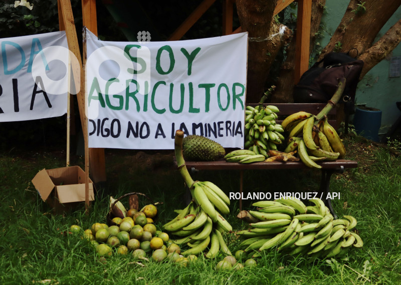 ACCION-ECOLOGICA-ACTIVISTAS-SENTENCIADOS