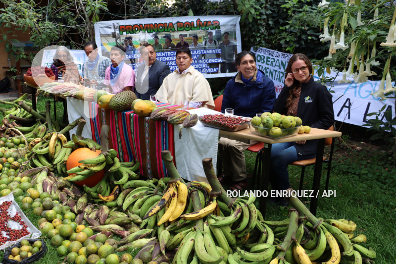 ACCION-ECOLOGICA-ACTIVISTAS-SENTENCIADOS
