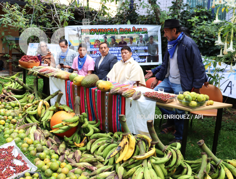 ACCION-ECOLOGICA-ACTIVISTAS-SENTENCIADOS