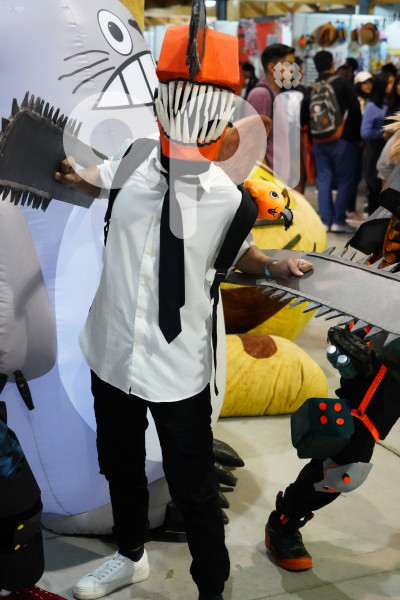 BUDOKAN ENCUENTRO GEEK