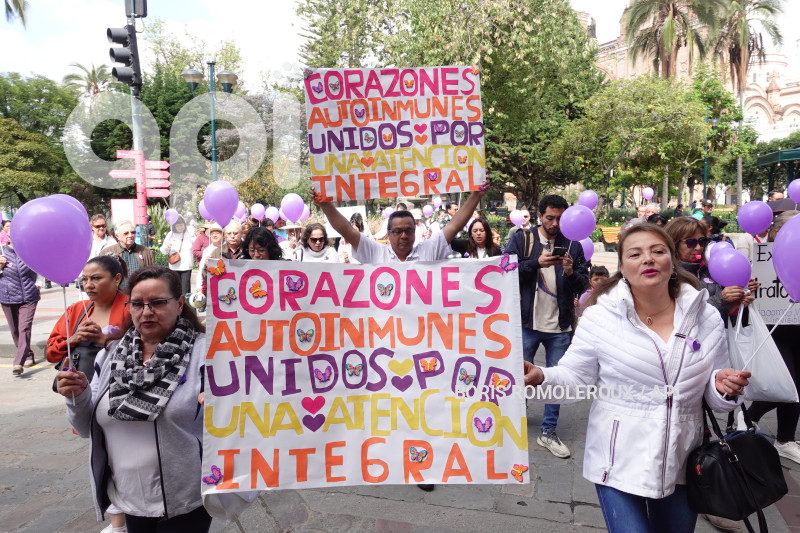 CUENCA-PLANTON-CORAZONES AUTOINMUNES