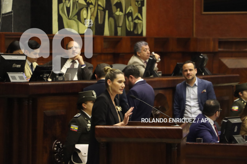 PLENO-MINISTRA-AMBIENTE-SADE-FRITSCHI