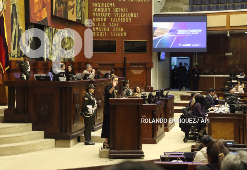 PLENO-MINISTRA-AMBIENTE-SADE-FRITSCHI