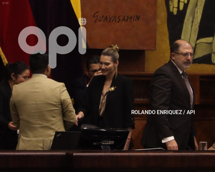 PLENO-MINISTRA-AMBIENTE-SADE-FRITSCHI