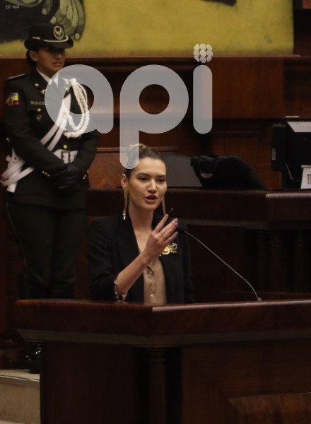 PLENO-MINISTRA-AMBIENTE-SADE-FRITSCHI