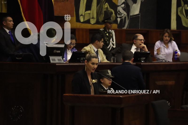 PLENO-MINISTRA-AMBIENTE-SADE-FRITSCHI