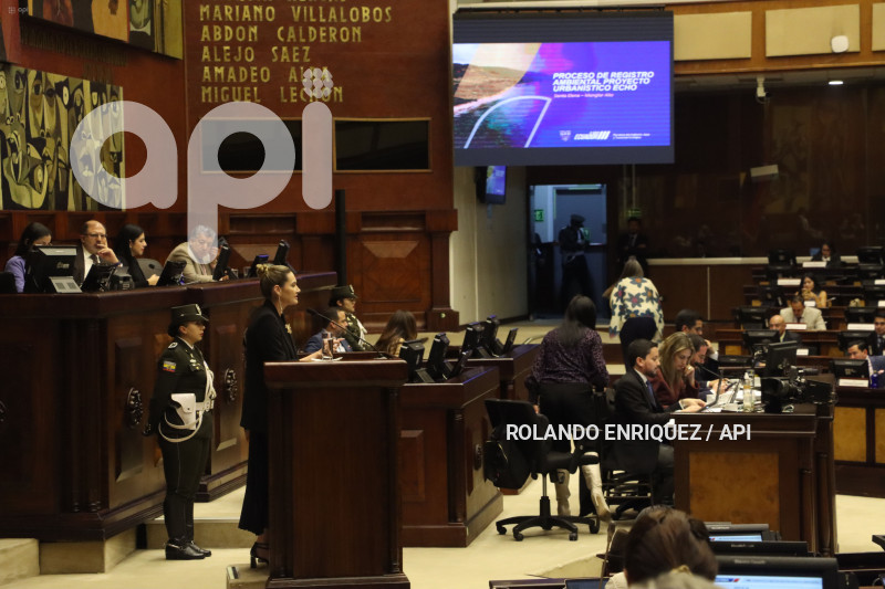 PLENO-MINISTRA-AMBIENTE-SADE-FRITSCHI