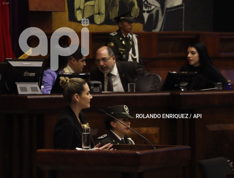 PLENO-MINISTRA-AMBIENTE-SADE-FRITSCHI