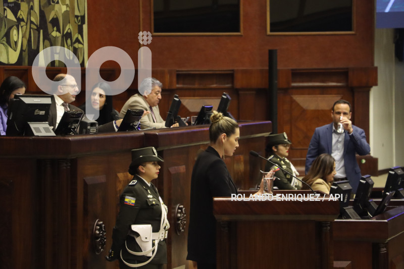 PLENO-MINISTRA-AMBIENTE-SADE-FRITSCHI