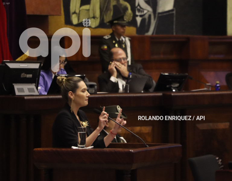 PLENO-MINISTRA-AMBIENTE-SADE-FRITSCHI