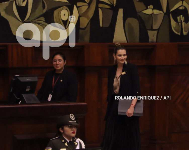 PLENO-MINISTRA-AMBIENTE-SADE-FRITSCHI