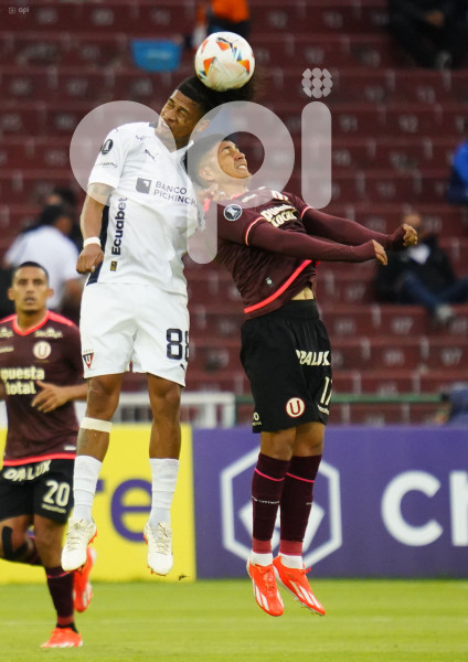 FBL LIBERTADORES LIGA UNIVERSITARIO