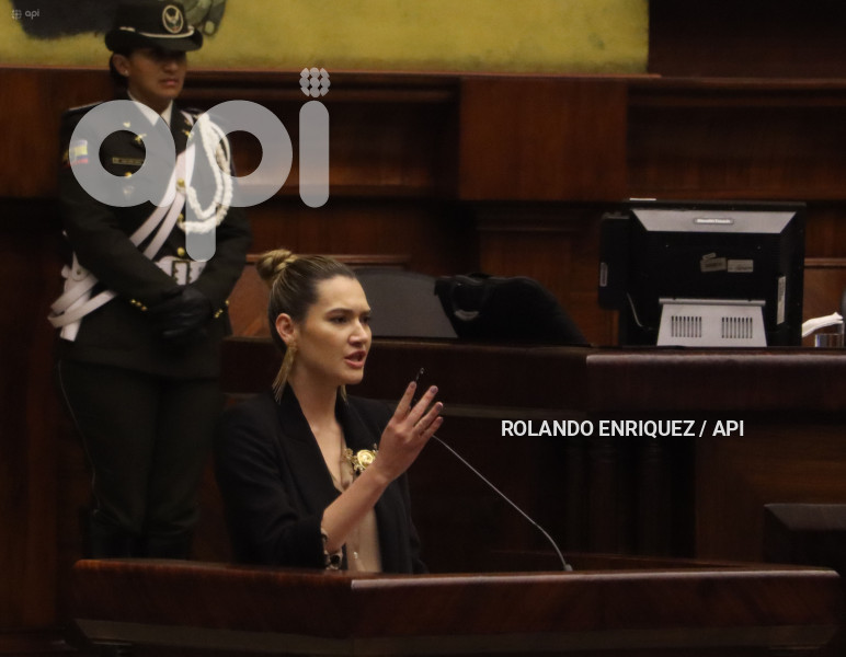 PLENO-MINISTRA-AMBIENTE-SADE-FRITSCHI
