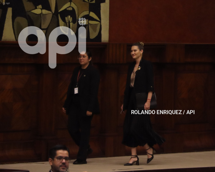 PLENO-MINISTRA-AMBIENTE-SADE-FRITSCHI