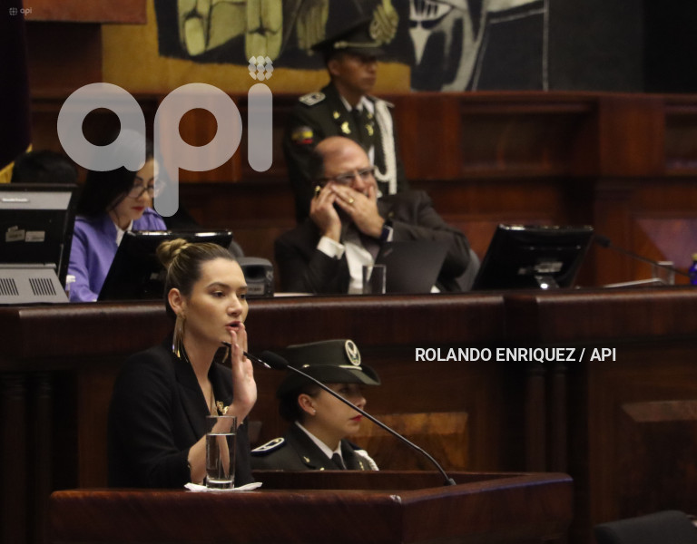 PLENO-MINISTRA-AMBIENTE-SADE-FRITSCHI