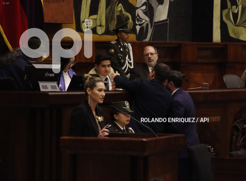 PLENO-MINISTRA-AMBIENTE-SADE-FRITSCHI