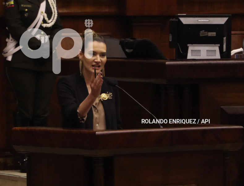 PLENO-MINISTRA-AMBIENTE-SADE-FRITSCHI